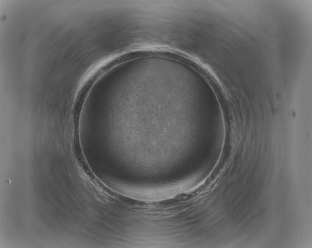 X0000081481319200701262018