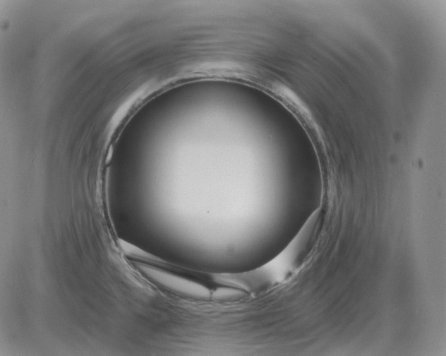 X0000081481336200701262018
