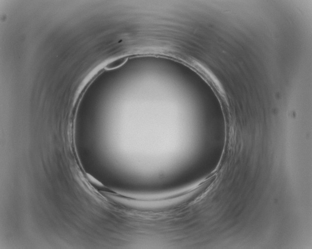 X0000081481340200701262018