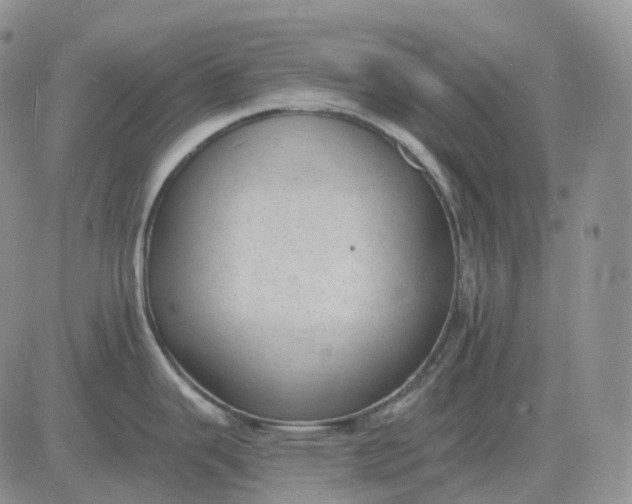 X0000081481343200701262018