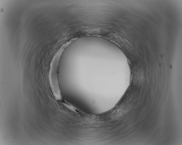 X0000081481345200701262018