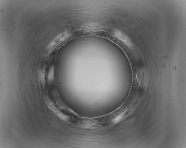 X0000081481348200701262018