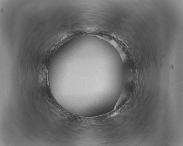 X0000081481349200701262018