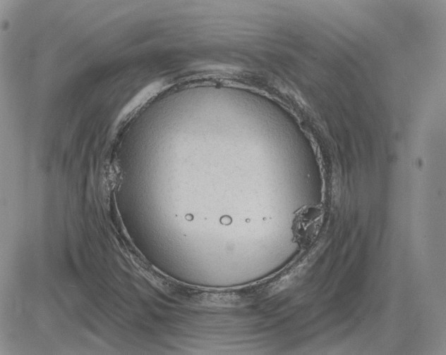 X0000081481354200701262018