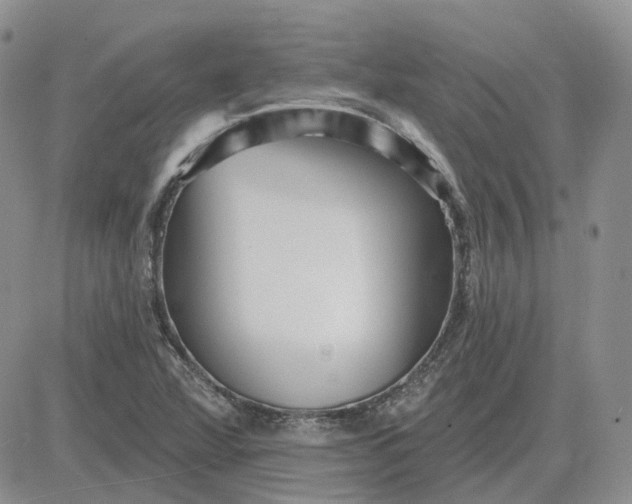 X0000081481360200701262017