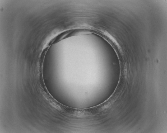 X0000081481364200701262017