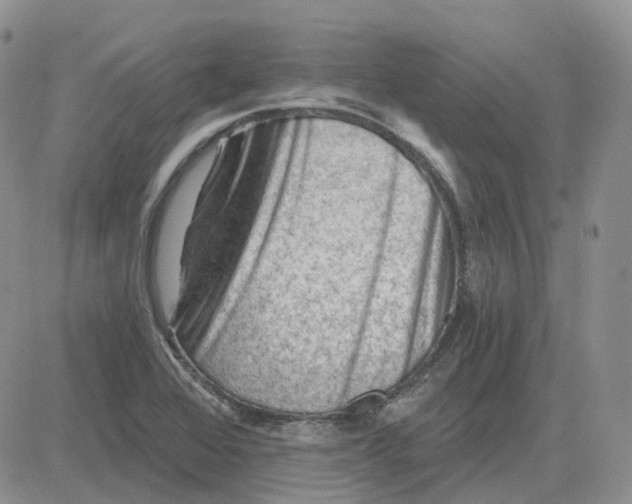 X0000081481368200701262017