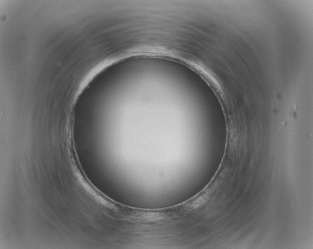 X0000081481382200701262017