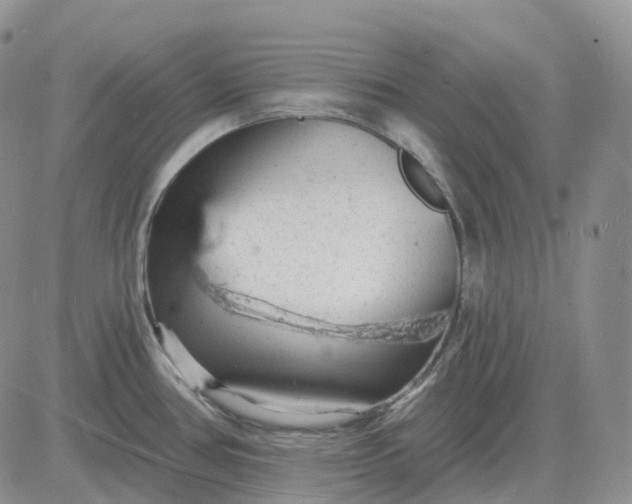 X0000081481386200701262017