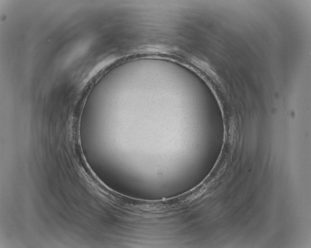 X0000081481404200701262016