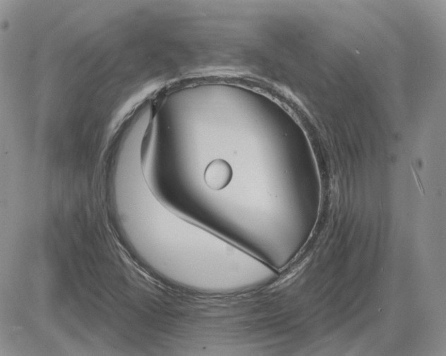 X0000081481406200701262016