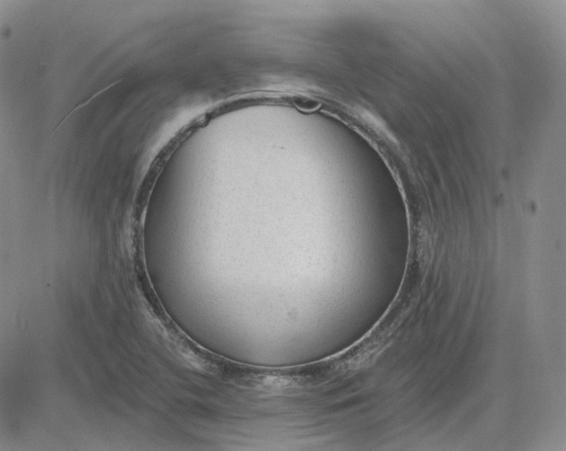 X0000081481412200701262016