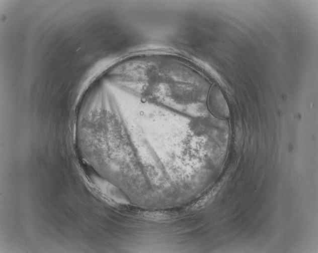 X0000081481413200701262016