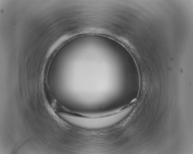 X0000081481422200701262017
