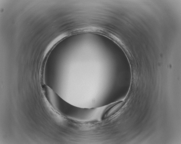 X0000081481426200701262017