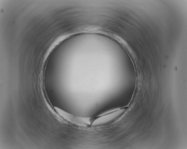 X0000081481432200701262017