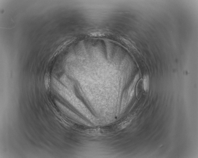 X0000081481444200701262016