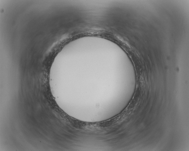 X0000081481447200701262016