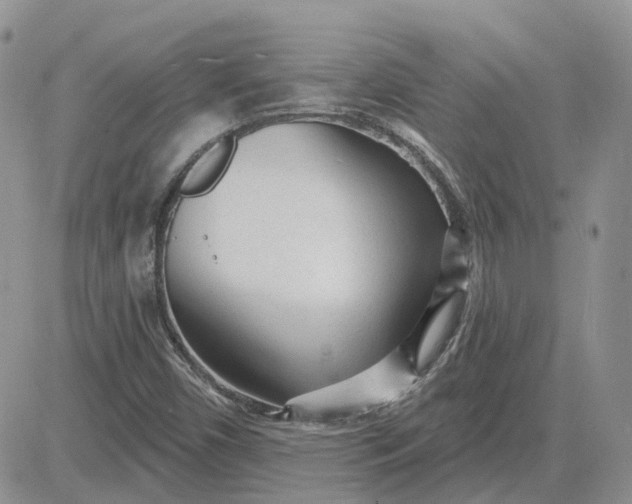 X0000081481450200701262016