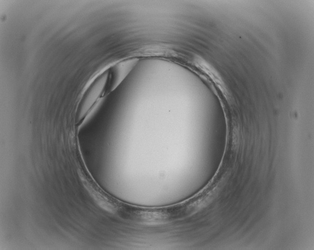 X0000081481465200701262016