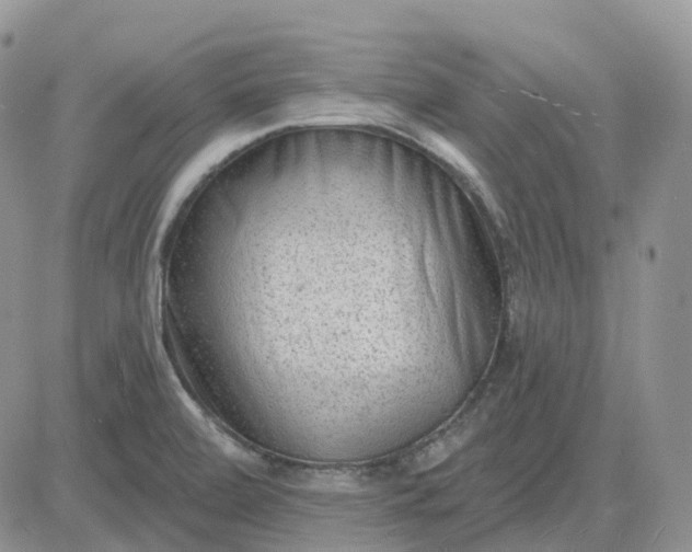 X0000081481472200701262016