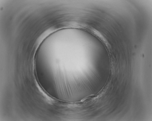 X0000081481479200701262015