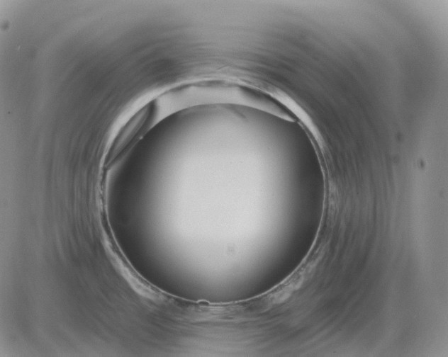 X0000081481485200701262015