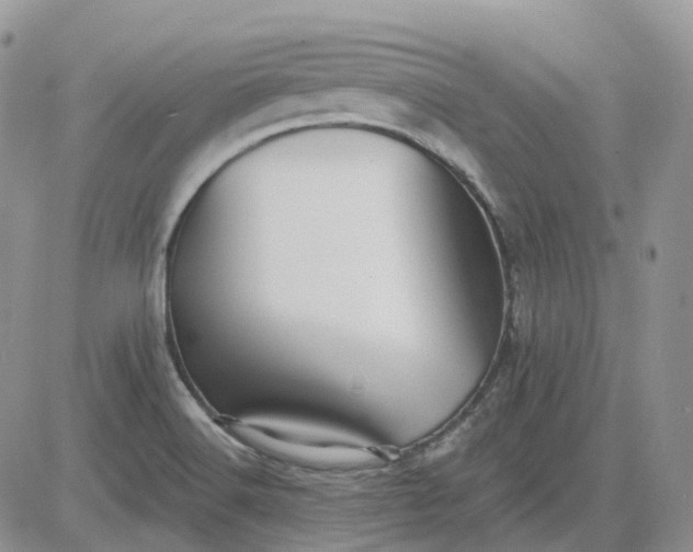 X0000081481516200701262015