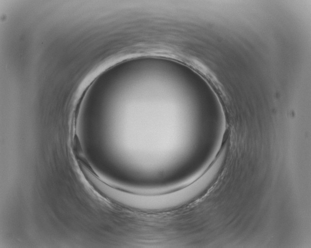 X0000081481520200701262015