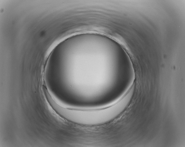 X0000081481524200701262015