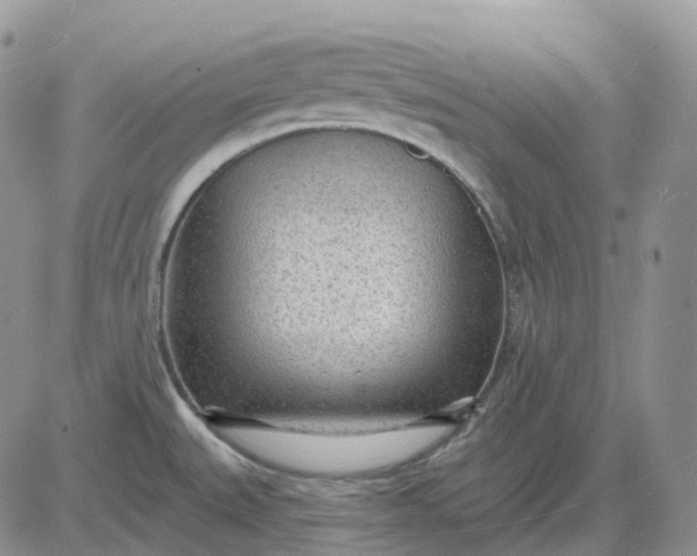 X0000081481527200701262015