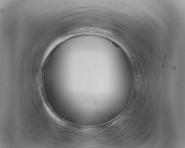 X0000081481531200701262015