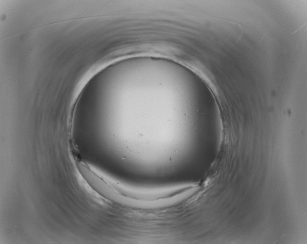 X0000081481532200701262015