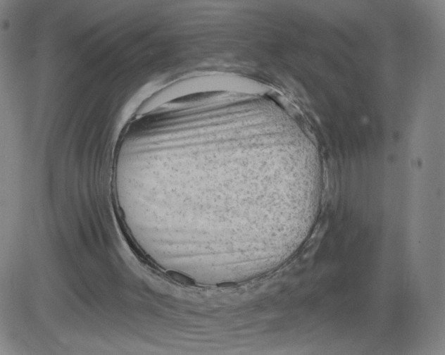 X0000081480003200702021909