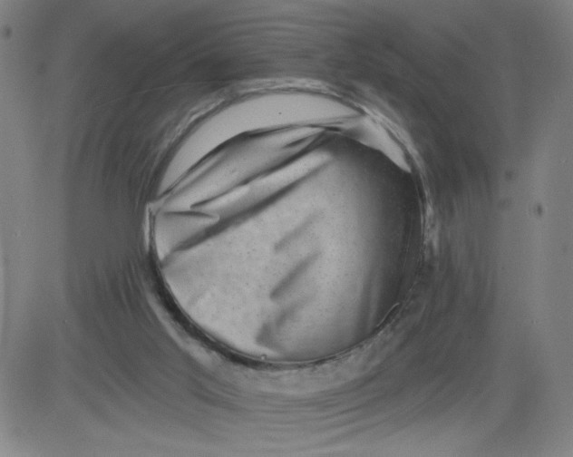 X0000081480013200702021909