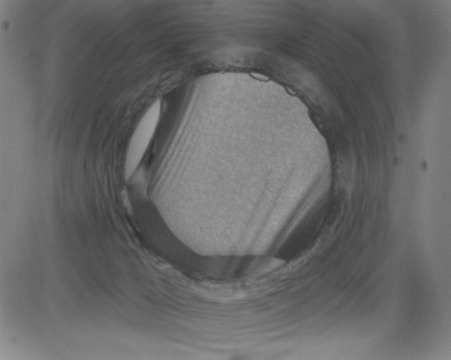 X0000081480029200702021909