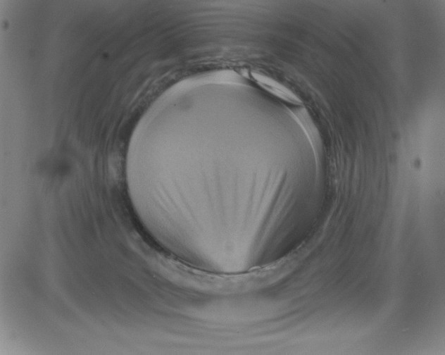 X0000081480035200702021909