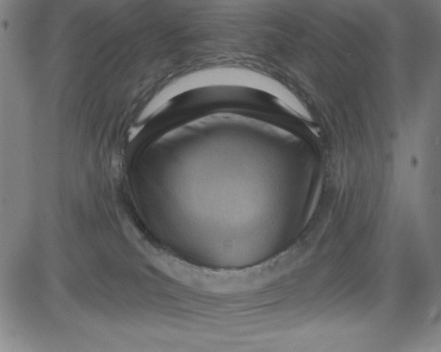 X0000081480039200702021909