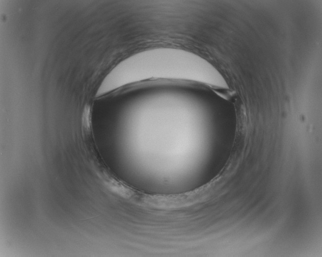 X0000081480041200702021909