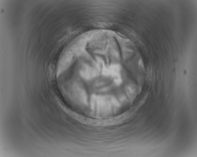 X0000081480043200702021909