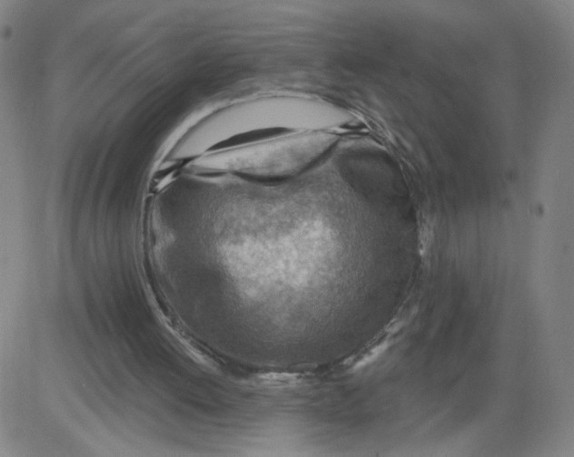 X0000081480052200702021908