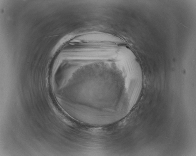 X0000081480054200702021908