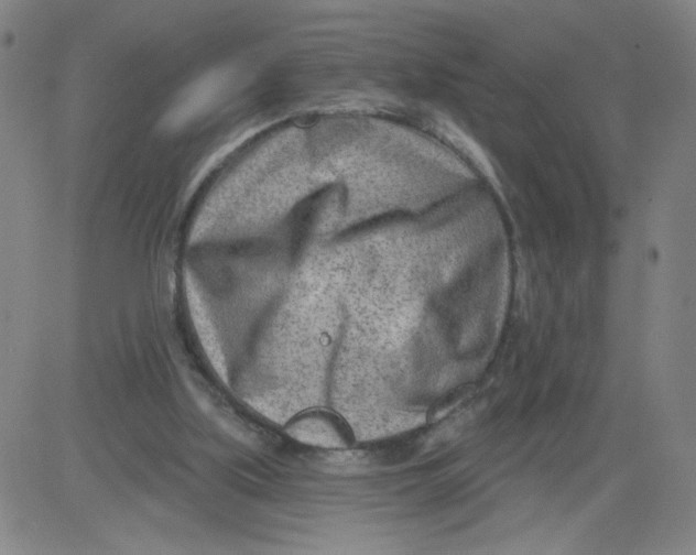 X0000081480059200702021908