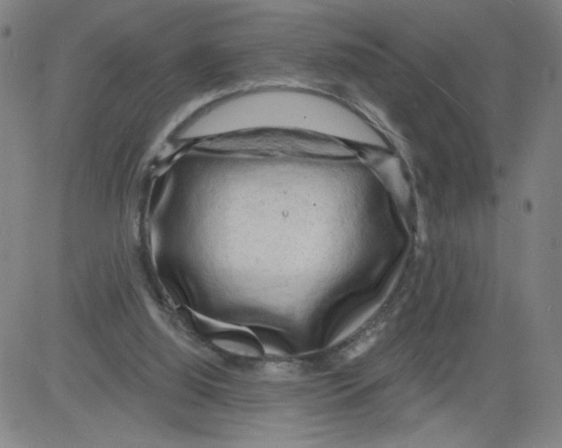 X0000081480060200702021908