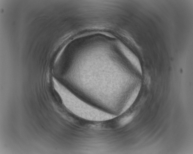 X0000081480068200702021908