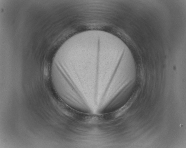 X0000081480074200702021908