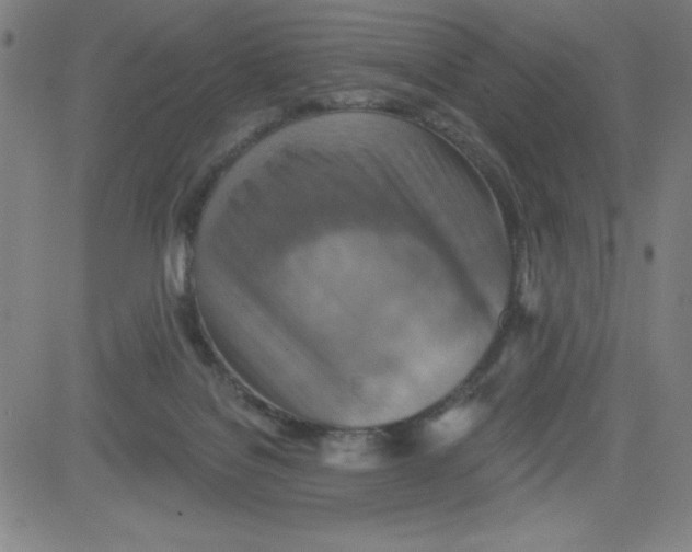 X0000081480076200702021908