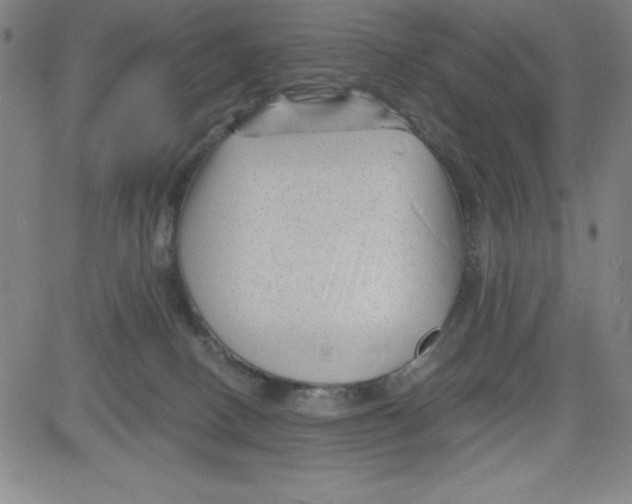 X0000081480082200702021908