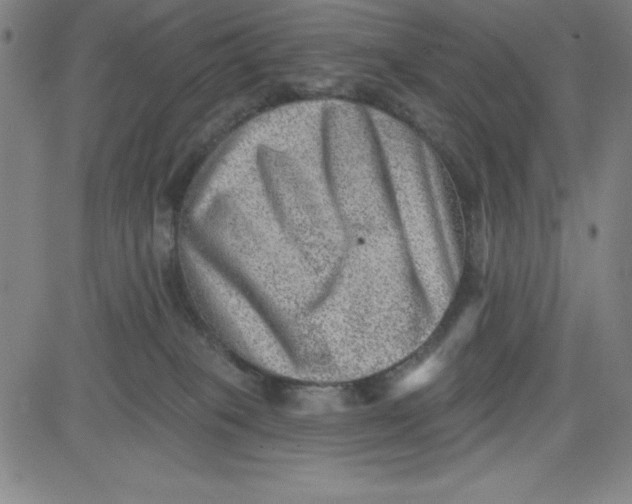 X0000081480085200702021908
