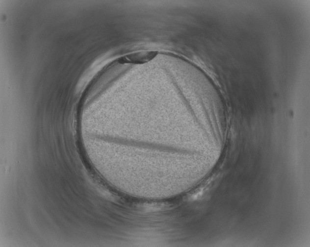 X0000081480103200702021908